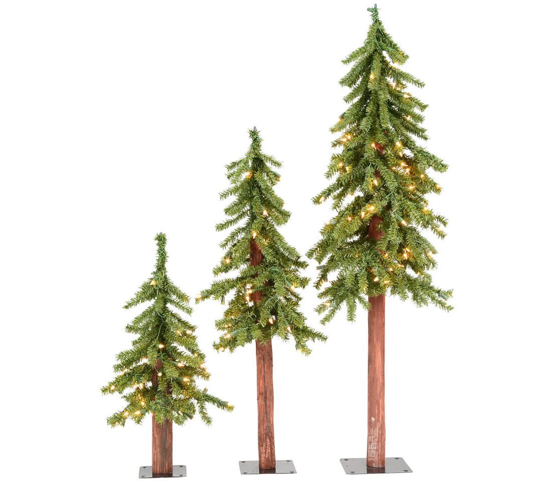 Vickerman Natural Alpine Artificial Christmas Tree Set WW