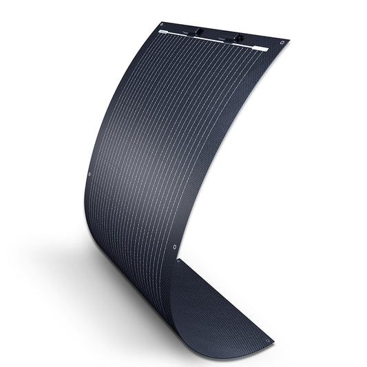 Renogy 1-Module 43-in x 22.9-in 100-Watt Solar Panel RSP100DL-36-US