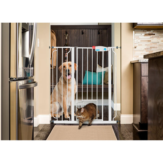 Carlson&trade; Pet Products Extra Tall Walk-Thru Pet Gate