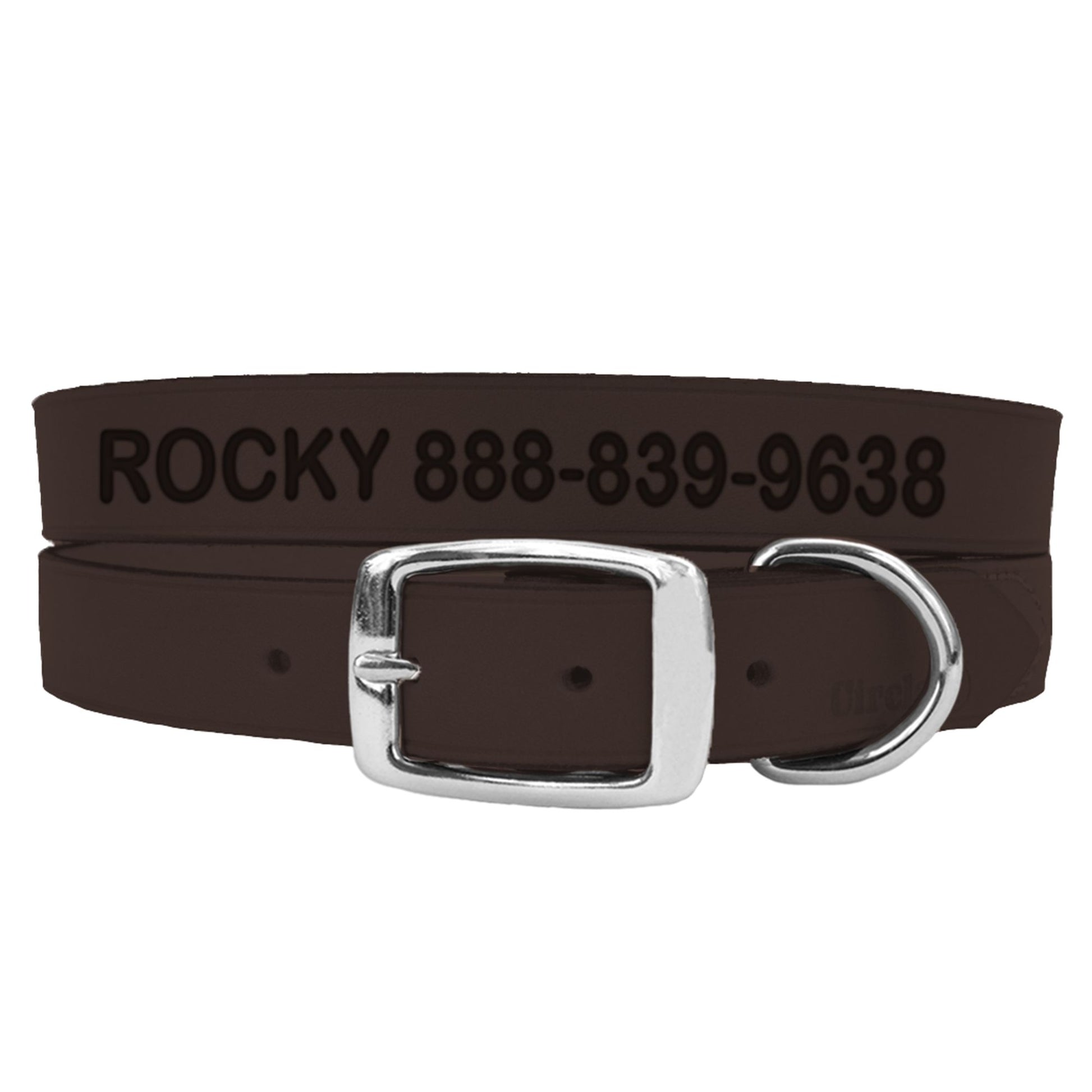 Coastal Pet Products Personalized Leather Dog Collar 24"L x 1"W