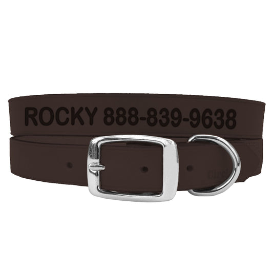 Coastal Pet Products Personalized Leather Dog Collar 24"L x 1"W