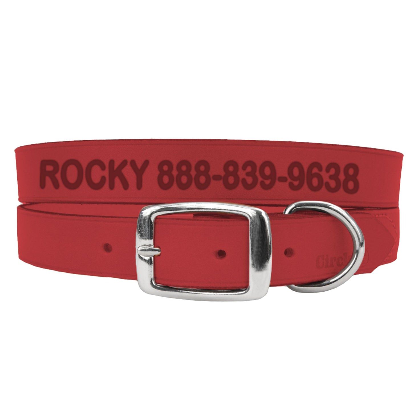 Coastal Pet Products Personalized Leather Dog Collar 22"L x 1"W