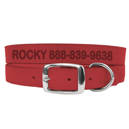 Coastal Pet Products Personalized Leather Dog Collar 22"L x 1"W