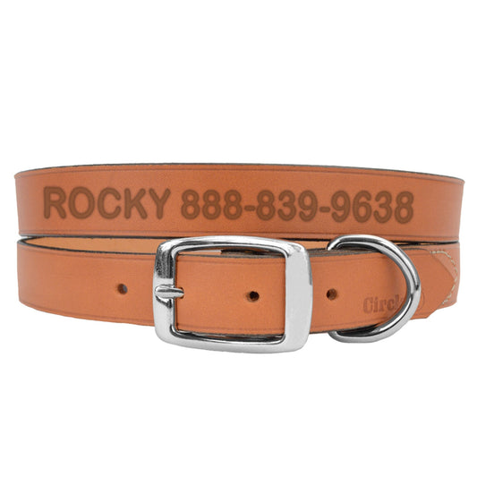 Coastal Pet Products Personalized Leather Dog Collar 20"L x 0.75"W