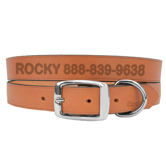 Coastal Pet Products Personalized Leather Dog Collar 12"L x 0.375"W