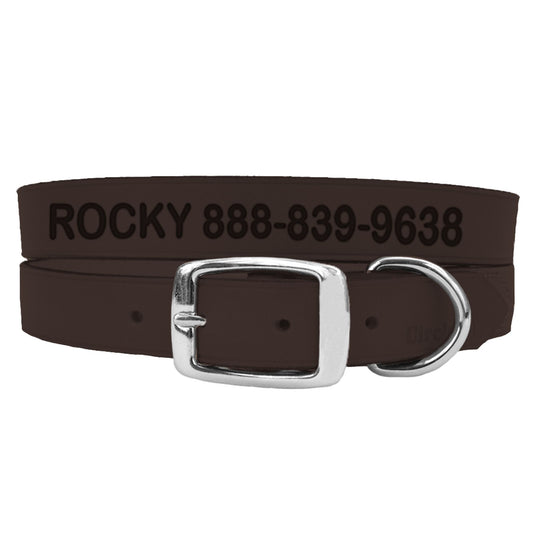 Coastal Pet Products Personalized Leather Dog Collar 10"L x 0.375"W