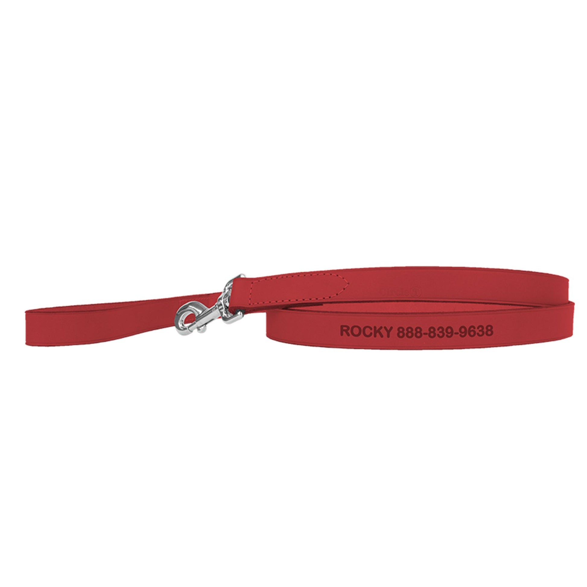 Coastal Pet Products Personalized Leather Dog Leash 6'L x 1"W