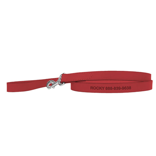 Coastal Pet Products Personalized Leather Dog Leash 6'L x 1"W