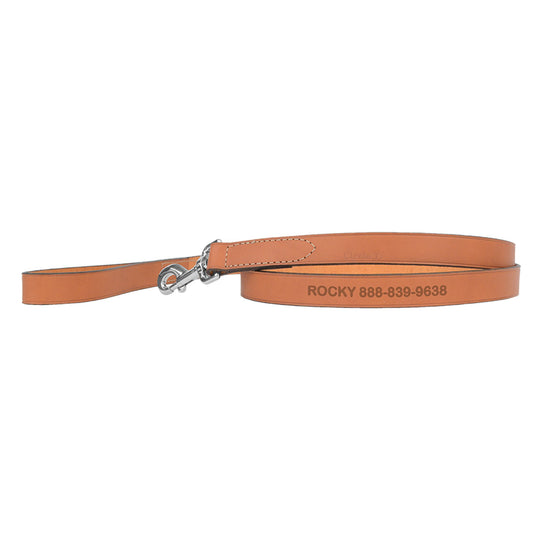 Coastal Pet Products Personalized Leather Dog Leash 6'L x 0.625"W