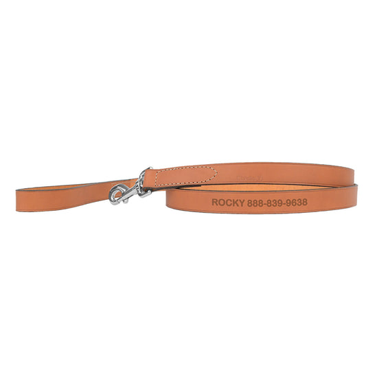 Coastal Pet Products Personalized Leather Dog Leash 4'L x 0.75"W