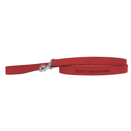 Coastal Pet Products Personalized Leather Dog Leash 4'L x 0.625"W
