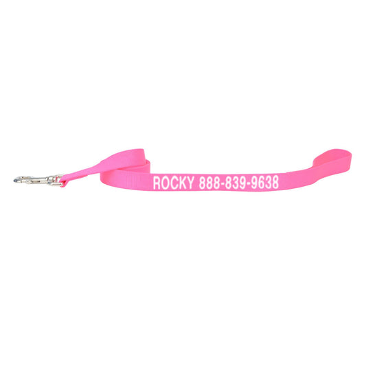 Coastal Pet Products Personalized Single Ply Nylon Dog Leash 4'L x 0.75"W