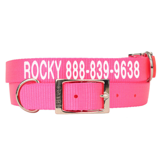 Coastal Pet Products Personalized Dog Collar 18"L x 0.75"W