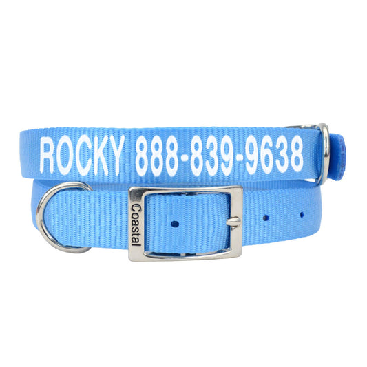 Coastal Pet Products Personalized Dog Collar 12"L x 0.625"W
