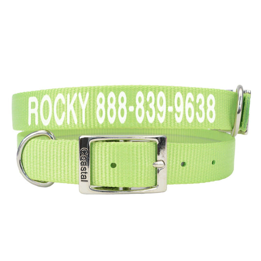 Coastal Pet Products Personalized Dog Collar 12"L x 0.375"W