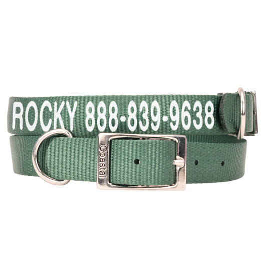 Coastal Pet Products Personalized Dog Collar 10"L x 0.375"W