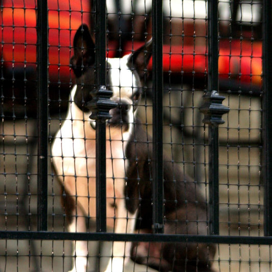 Cardinal Gates Pet Gate Deck Netting 50'L x 36"W