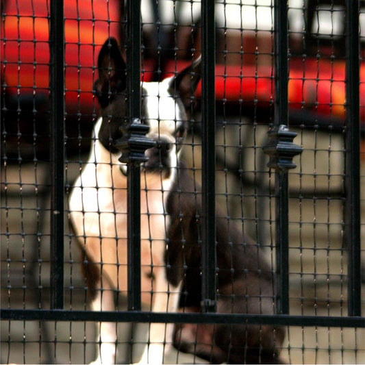 Cardinal Gates Pet Gate Deck Netting 15'L x 36"W