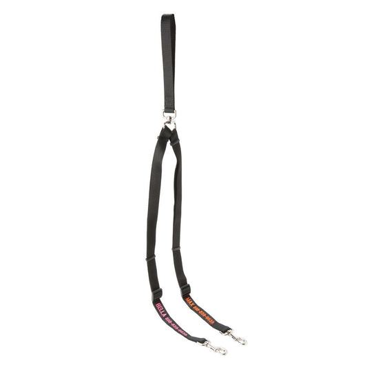 Coastal Pet Products Personalized Double Walker Dog Leash: 4-ft long 4'L x 1"W
