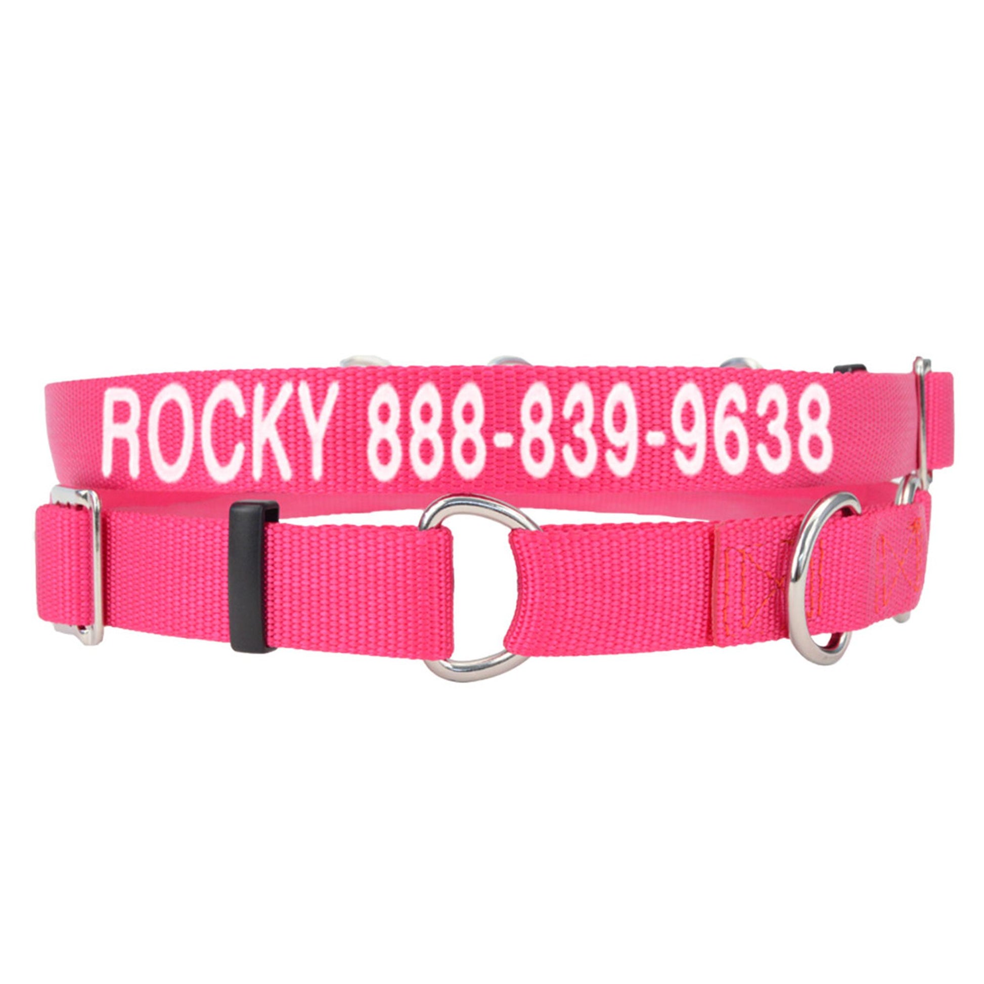 Coastal Pet Products Personalized Martingale Dog Collar 17"L x 1"W