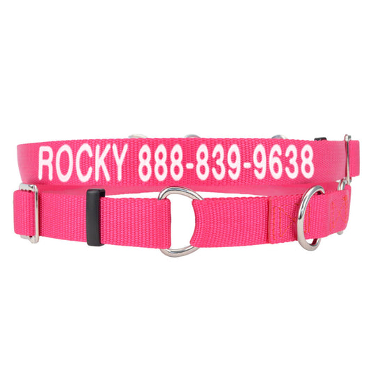 Coastal Pet Products Personalized Martingale Dog Collar 17"L x 1"W
