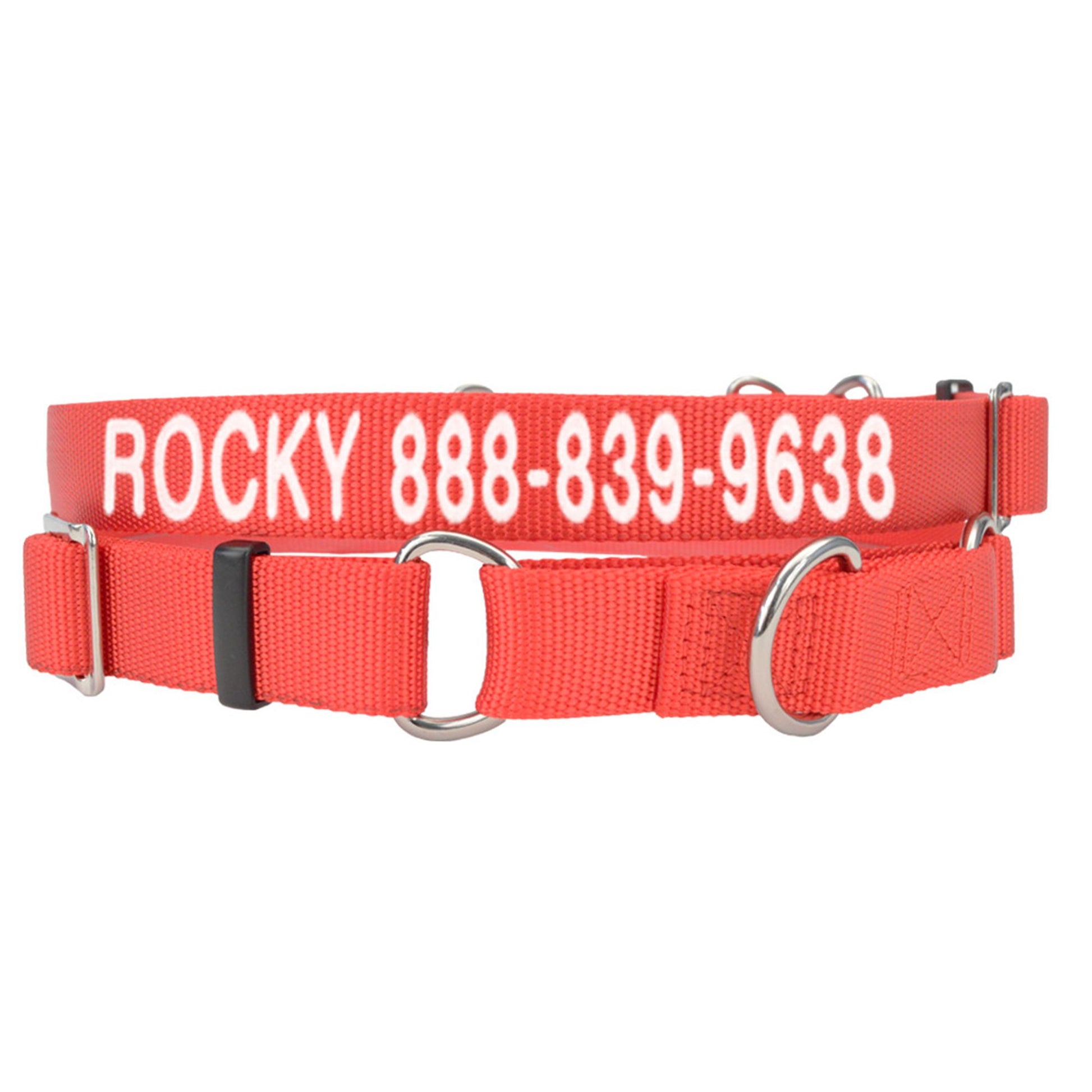 Coastal Pet Products Personalized Martingale Dog Collar 14"L x 0.75"W