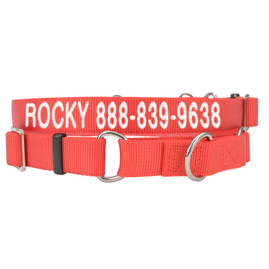 Coastal Pet Products Personalized Martingale Dog Collar 14"L x 0.75"W