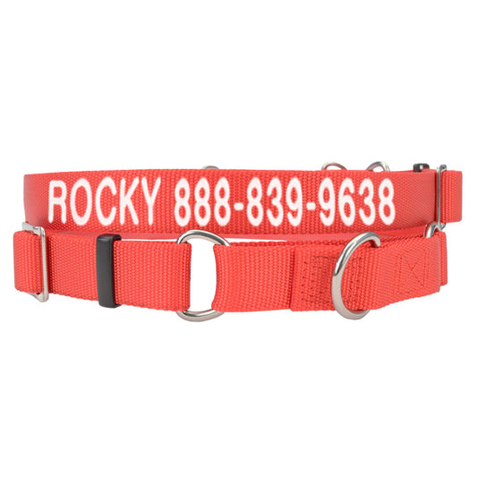 Coastal Pet Products Personalized Martingale Dog Collar 10"L x 0.625"W