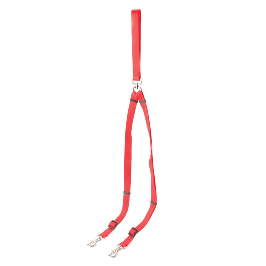 Coastal Pet Products Personalized Double Walker Dog Leash: 4-ft long 4'L x 0.625"W