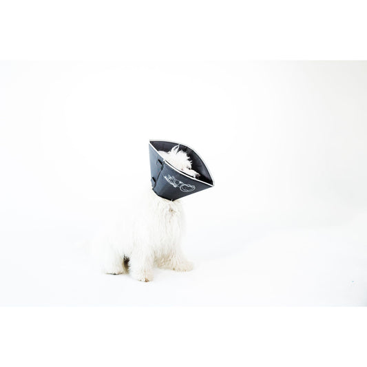All Four Paws Black Comfy Cone Dog E-Collar X Large