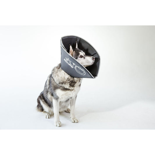 All Four Paws Black Comfy Cone Dog E-Collar Medium Extra Long