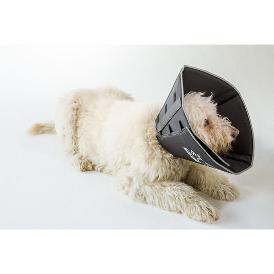All Four Paws Black Comfy Cone Dog E-Collar Small