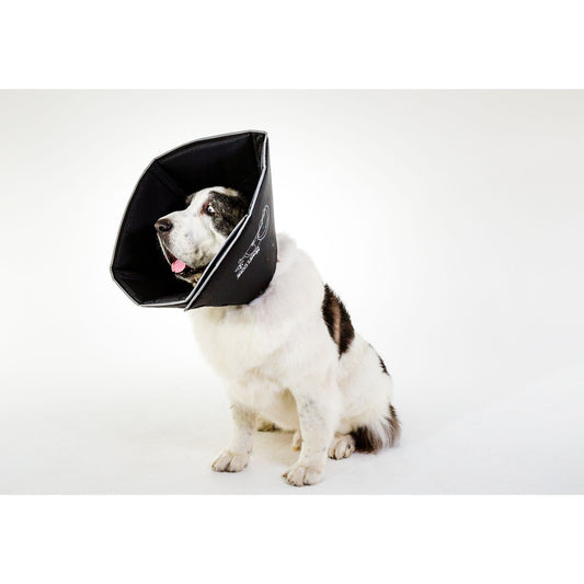 All Four Paws Black Comfy Cone Dog E-Collar X Small