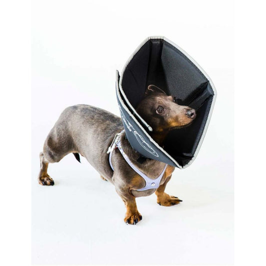 All Four Paws Black Comfy Cone Dog E-Collar Medium
