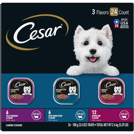 Cesar® Classics Adult Wet Dog Food - Filets in Gravy , 24 Count