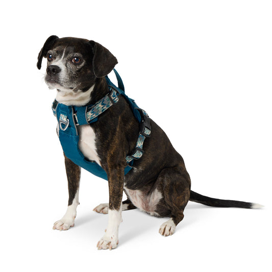 Arcadia Trail® Lightweight Reflective Dog Harness Medium