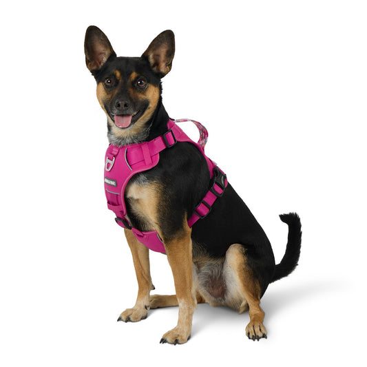 Arcadia Trail® Quick Dry Dog Harness X Large