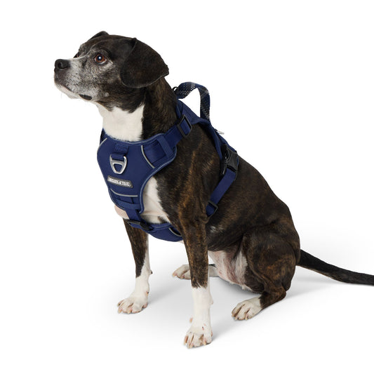 Arcadia Trail® Quick Dry Dog Harness Small