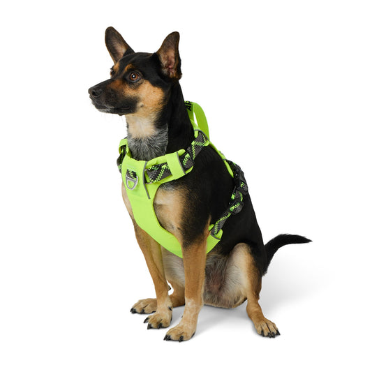 Arcadia Trail® Lightweight Reflective Dog Harness Small
