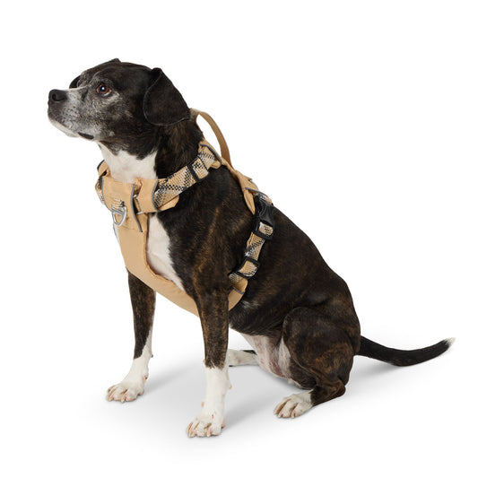 Arcadia Trail® Lightweight Reflective Dog Harness X Large