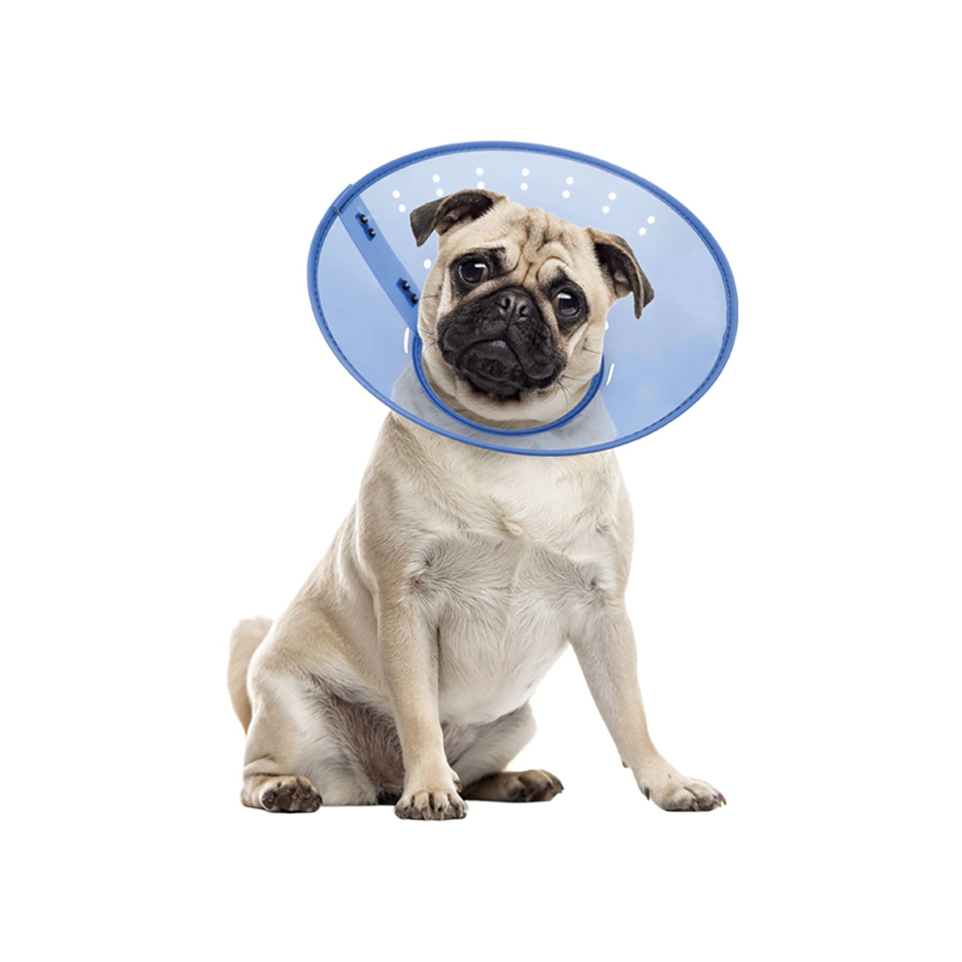 Calm Paws CALMING E-Collar, Blue 2X Large