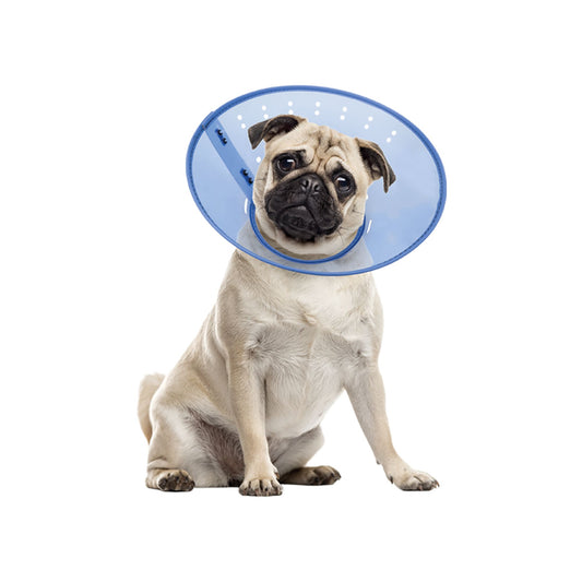 Calm Paws CALMING E-Collar, Blue 2X Large