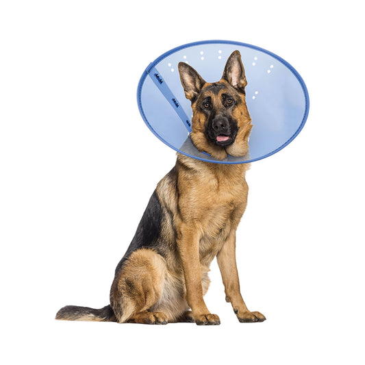 Calm Paws CALMING E-Collar, Blue Small