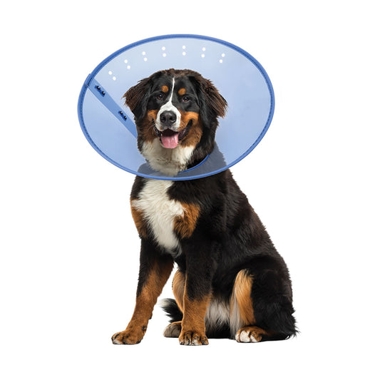 Calm Paws CALMING E-Collar, Blue X Large