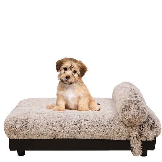 Club Nine Pets Milo Orthopedic Elevated Dog Bed Large