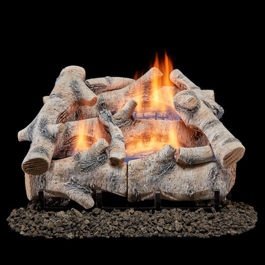 Bluegrass Living 18-Inches 30000 -BTU Dual Fuel Dual -Burner with Thermostat and Remote