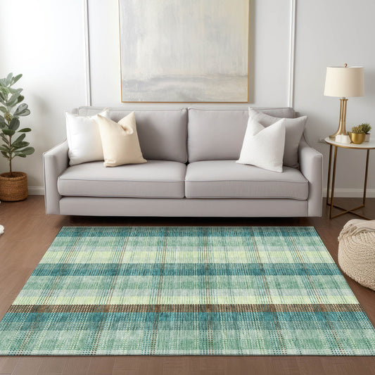 Addison Rugs Chantille ACN966SA 9 x 12 (ft) Loomed Sage Rectangular Indoor/Outdoor Machine washable Pet Friendly Area rug