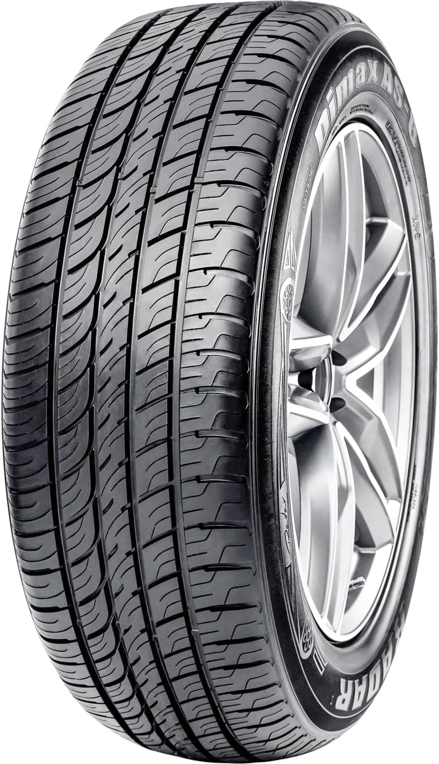 Radar Tires Dimax AS-8 Touring Radial Tire - 295/30ZR26 107W