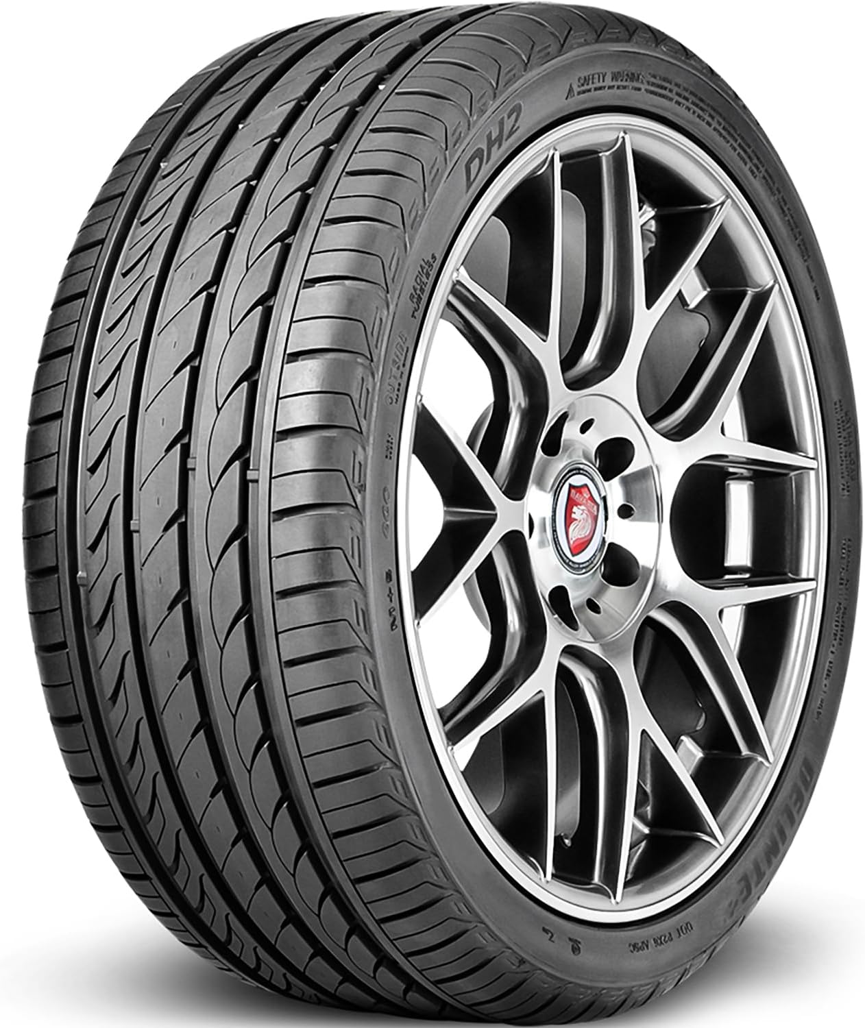 Delinte DH2 Touring Radial Tire - 225/65R16 100H