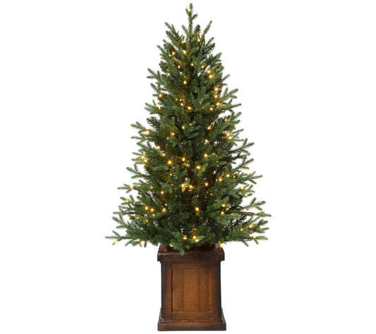 Haute Decor 4.5' Pre-Lit New Haven Fraser Fir Tree